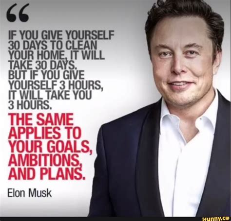 something about elon musk